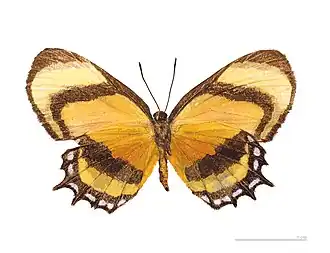 Description de cette image, également commentée ci-après