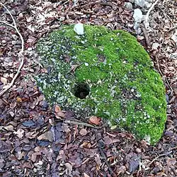 Une meule sur le sentier de découverte de La meulière des Dauphins