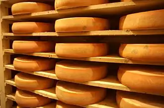 Photographie en couleurs de meules de fromage.