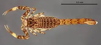 Description de cette image, également commentée ci-après