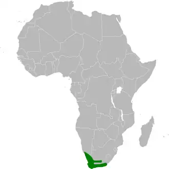 Description de l'image Mirafra apiata distribution map.png.