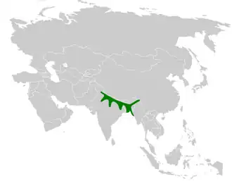 Description de l'image Mirafra assamica distribution map.png.