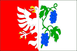 Drapeau de Miroslav