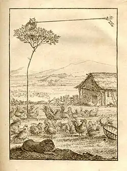 Image illustrative de l’article Le Misogallo