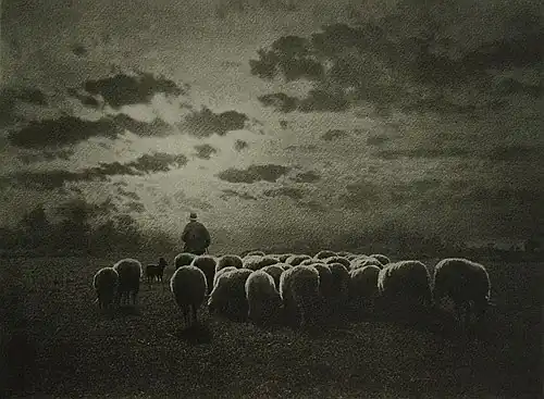 Misonne's Au Coucher du Soleil, in : Camera Notes (en), juillet 1901.