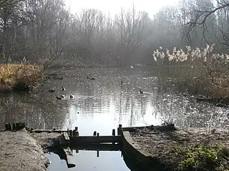 Image illustrative de l’article Moeraske