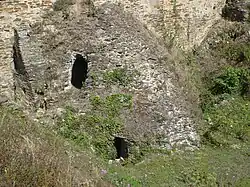 Vue rapprochée de l'évent et d'une ouverture du tir du moineau nord.