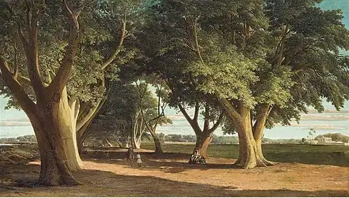 La Route vers Choubra (1860).
