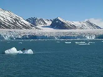 Vue du front glaciaire.