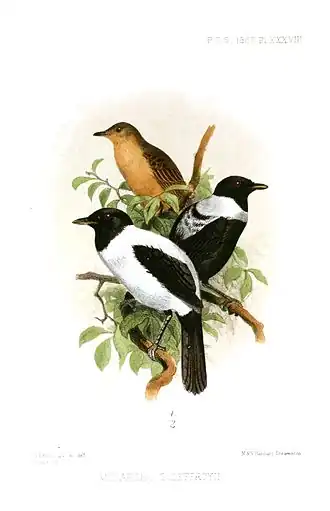 Description de cette image, également commentée ci-après