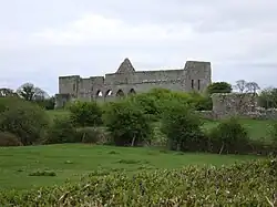 Photographie des ruines d'une abbaye émergeant au-dessus des arbres