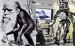 Photo noir et blanc, à gauche, montrant un singe dont la tête est celle d'un vieil homme barbu. À droite : photo d'un robot de face, à côté d'un d'ordinateur, posé sur une table.