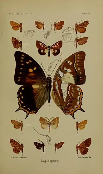 Description de cette image, également commentée ci-après