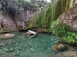 Barrage de capture sur la Siagnole, en période sèche.