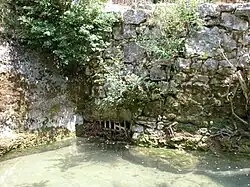 Grille d'entrée du bief.