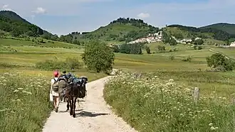Sur le chemin de Camurac à Montaillou.