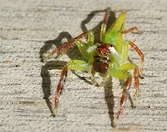 Description de cette image, également commentée ci-après