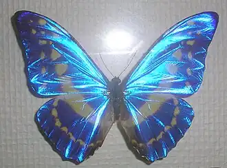 Description de cette image, également commentée ci-après