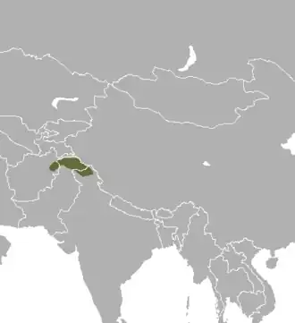 Description de l'image Moschus cupreus.png.