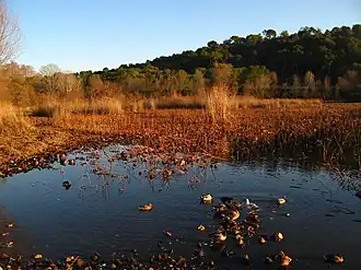 Image illustrative de l’article Parc de la Valmasque