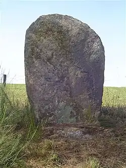 Statue-menhir du Vacant de Rieuviel