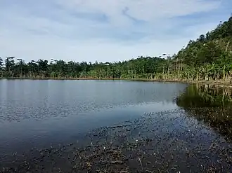 Vue du lac de cratère du Colo.