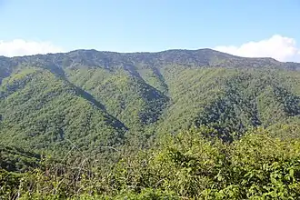 Vue depuis l'US 441.