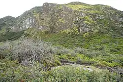Vue du Mont Merapi, un des cône volcaniques de l'Ijen