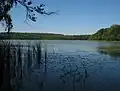 Lac "Mühlenbecker See".