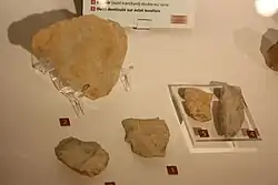 Plusieurs exemples de pierres taillées exposées dans un musée.