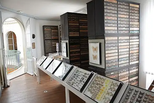 Salle Abot, Muséum d'Angers