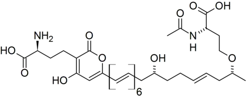 Formule chimique topologique.