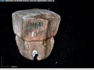 Description de cette image, également commentée ci-après