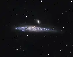 NGC 4631 et NGC 4627 par un astronome amateur. On voit assez bien sur cette image la queue de marée de NGC 4627 qui pointe en direction opposée de NGC 4631.