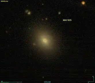 Image illustrative de l’article NGC 7675