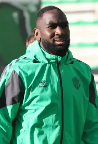 Image illustrative de l’article Mickaël Nadé