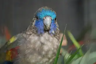 Description de cette image, également commentée ci-après