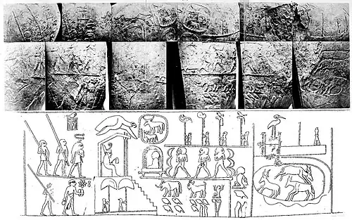 Massue de Narmer ; quatre étendards en haut au centre : le placenta royal, le canidé d'Oupouaout et deux faucons successifs devant représenter respectivement Horus et Seth.