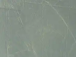 Le condor (134&nbsp;m de long).