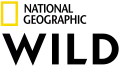 Logo de National Geographic Wild (Depuis 2018)