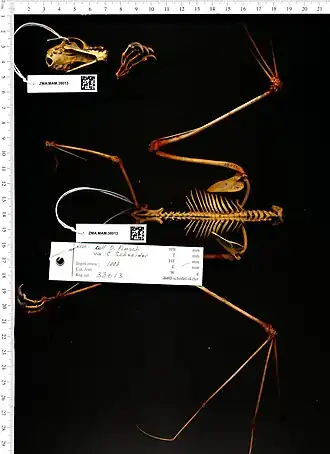 Description de cette image, également commentée ci-après