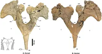 Description de cette image, également commentée ci-après