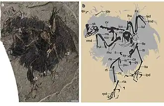 Description de cette image, également commentée ci-après