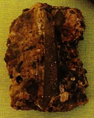 Description de cette image, également commentée ci-après