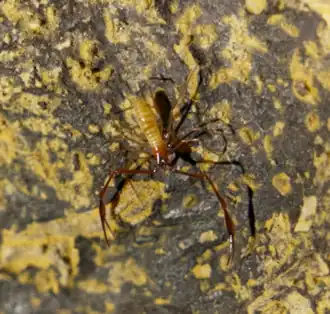 Description de cette image, également commentée ci-après