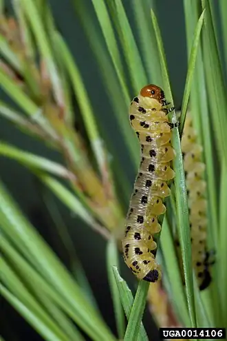 Description de cette image, également commentée ci-après