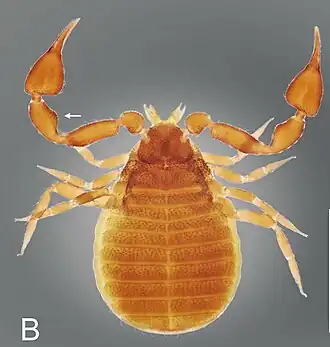Description de cette image, également commentée ci-après