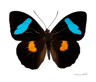 Description de cette image, également commentée ci-après