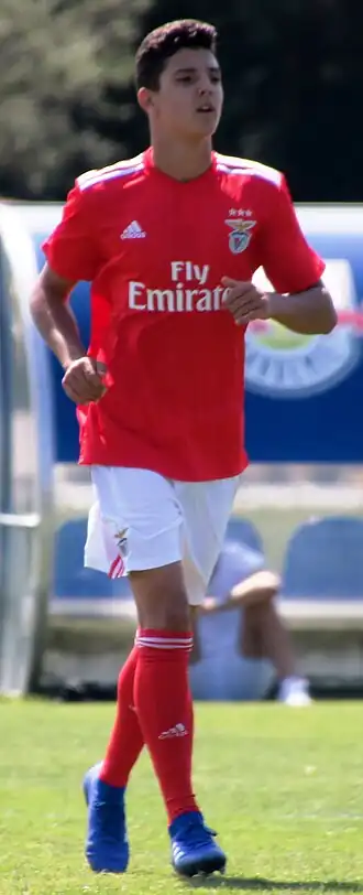 Image illustrative de l’article Martim Neto