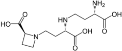 formule développée de la nicotianamine